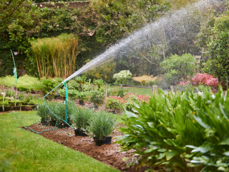 Tuin met watersproeier