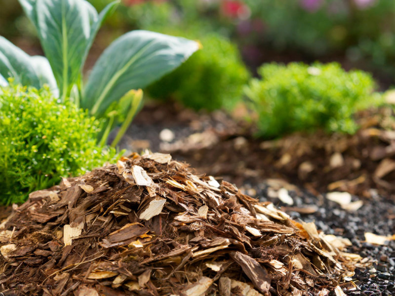 Mulch in tuin