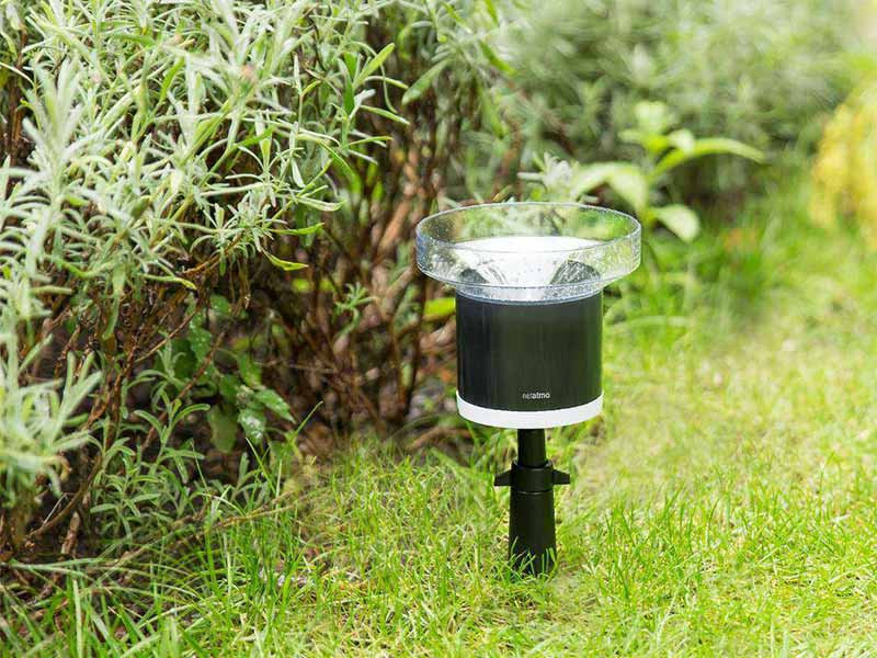 Netatmo regenmeter in gras